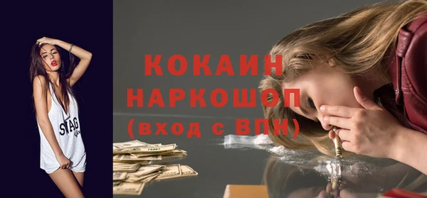 гашик Алексеевка