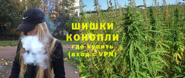 PSILOCYBIN Абдулино