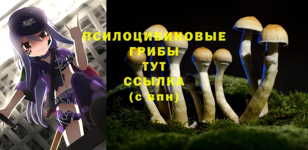 гашик Алексеевка
